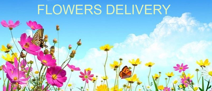 Send Flowers to Navi Mumbai