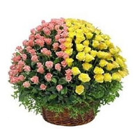 Best Christmas Flowers to Mumbai that is 100 Pink and Yellow Roses Basket in Panvel