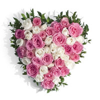 Order Online Pink White Roses Heart 50 Flowers with Rakhi to Mumbai