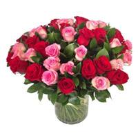 Bhaidooj Flowers to Mumbai to Send Red Pink Roses in Vase 50 Flowers to Mumbai Online