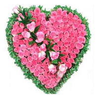 Send Rakhi to Mumbai. Send Pink Roses Heart 75 Flowers