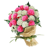 Place Order to Send Flowers to Mumbai For Diwali involves Pink White Carnation Bouquet 24 Flowers to Mumbai