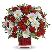 Flowers in Mumbai for Diwali. Send White Gerbera with Red Carnation in Vase of 24 Flowers to Mumbai
