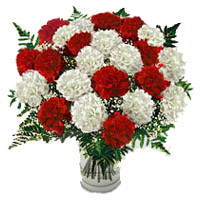 Order Christmas Flower Delivery in Vashi Deliver Red White Carnation in Vase 24 Flowers to Mumbai
