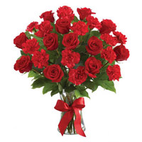 Order forRakhi and Red Rose Carnation Vase 24 Best Flowers to Mumbai