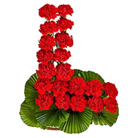 Rakhi and Flower Delivery in Mumbai. Online Red Carnation Basket of 24 Flowers Delivery in Mumbai