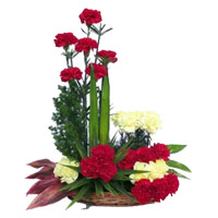 Order Rakhi Red Yellow Carnation Basket 24 Flowers Delivery to Mumbai