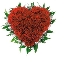 Order Flowers for Friends to Mumbai, 100 Red Carnation Heart Arrangement Flowers to Mumbai Online