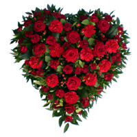 Send 50 Red Roses Carnation Flower Heart Arrangement on Friendship Day