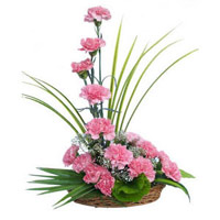 Same Day Flower Delivery in Mumbai. 15 Pink Carnation Arrangement on Diwali