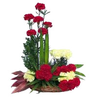 Send Red Yellow Carnation Arrangement 24 Flowers with Rakhi in Mumbai