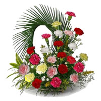 Christmas Flowers in Mumbai incorporate with Mixed Carnation Arrangement 24 Flowers in Mumbai