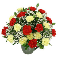 Send Christmas Flower to Nanded with Red Yellow Carnation Vase 24 Flowers to Mumbai