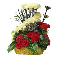 Send Rakhi with Red Yellow Carnation Basket of 24 Flowers to Mumbai