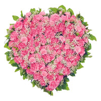 Order Pink Carnation Heart 50 Best Flowers to Mumbai on Rakhi