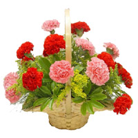 Deliver Red Pink Carnation Basket 15 Flowers to Mumbai on Friendship Day