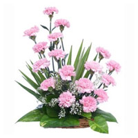 Online Diwali FLowers Delivery in Mumbai. Pink Carnation Basket 18 Flowers in Mumbai