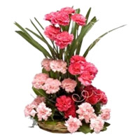 Buy Online Pink Carnation Basket of 24 Rakhi Flowers in Mumbai