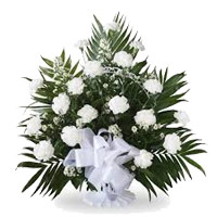 Buy elegant flowers to Mumbai that is White Carnation Basket 18 Flowers to Mumbai