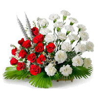 Send Red and White Carnation Basket of 24 Rakhi Flowers in Mumbai