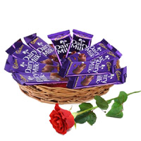 Diwali Chocolates Delivery in Mumbai incorporate with 12 Dairy Milk Chocolate Basket With 1 Red Rose Bud