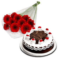 Best Diwali Gifts to Mumbai to Deliver 12 Red Gerbera 1/2 Kg Black Forest Cake to Mumbai