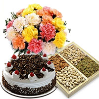 Online Diwali Gifts to Navi Mumbai including of 12 Mix Carnation with 1/2 Kg Black Forest Cake and 1/2 Kg Dry Fruits