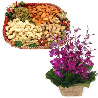 Send Friendship Day Special Gifts, 10 Purple Orchids Basket 1/2 Kg Assorted Dry Fruits to Mumbai