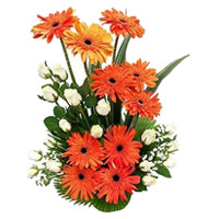 Send Orange Gerbera White Rose Basket 24 Flowers to Mumbai Online on Friendship Day