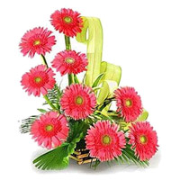 Deliver Diwali Flowers Online to Mumbai. Pink Gerbera Basket 12 Flowers in Mumbai