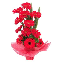 Send 12 Red Gerbera Basket with Rakhi and Flowers to Mumbai