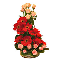 Deliver Rakhi and Flowers to Mumbai comprising of Red Gerbera Pink Roses Basket 24 Flowers