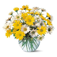 Online Diwali Flowers Delivery in Mumbai with Yellow White Gerbera in Vase 24 Flowers