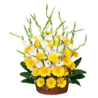 Send Yellow Gerbera White Glad Basket 30 Flowers to Mumbai Online for Friendship Day
