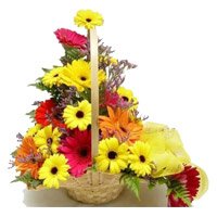 Send Online Mixed Gerbera Basket 12 Flowers with Rakhi in Mumbai