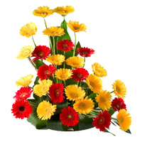 Send Online Friendship Day Flowers to Mumbai. Red Yellow Gerbera Arrangement 36 Flowers to Mumbai