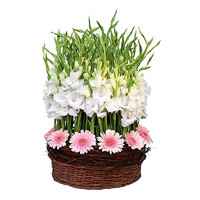 Send Pink Gerbera White Glad Basket 30 Flowers to Mumbai on Friendship Day