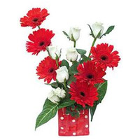 Send Flowers to Mumbai : Red Gerbera White Roses