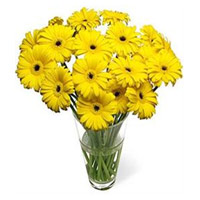 Diwali Flowers in Mumbai Same Day Delivery with Yellow Gerbera in Vase 15 Flowers