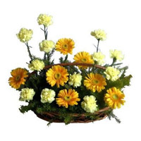 Place order for Yellow Gerbera White Carnation Basket 20 Flowers to Mumbai