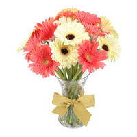 Send Diwali Flowers in Nagpur including Mix Gerbera in Vase 15 Flowers