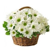 Deliver Rakhi White Gerbera Basket of 20 Rakhi Flowers to Mumbai