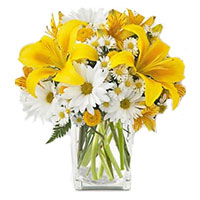 Fresh Flower Delivery in Mumbai Including 3 Yellow Lily 9 White Gerbera in Vase on Rakhi