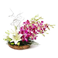 Send 2 White Lily 6 Purple Orchids Basket of Rakhi Flowers to Mumbai