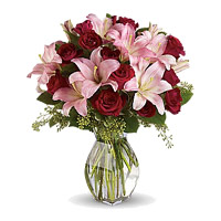 Best Flowers Delivery in Nashik among 3 Pink Lily 12 Red Roses to Mumbai