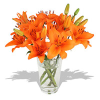 Send Rakhi to Mumbai with Orange Lily in Vase 5 Flower Stems