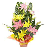 Online Delivery of Flower and Rakhi to Mumbai. Pink Yellow Lily Basket 6 Flower Stems