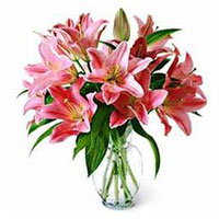 Send Flowers for Friendship in Mumbai. Pink Lily Vase 15 Flower to Mumbai