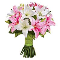 Flower Delivery in Mumbai : Pink White Lily