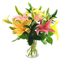 Send Rakhi to Mumbai with Mix Lily Vase 5 Flower Stems